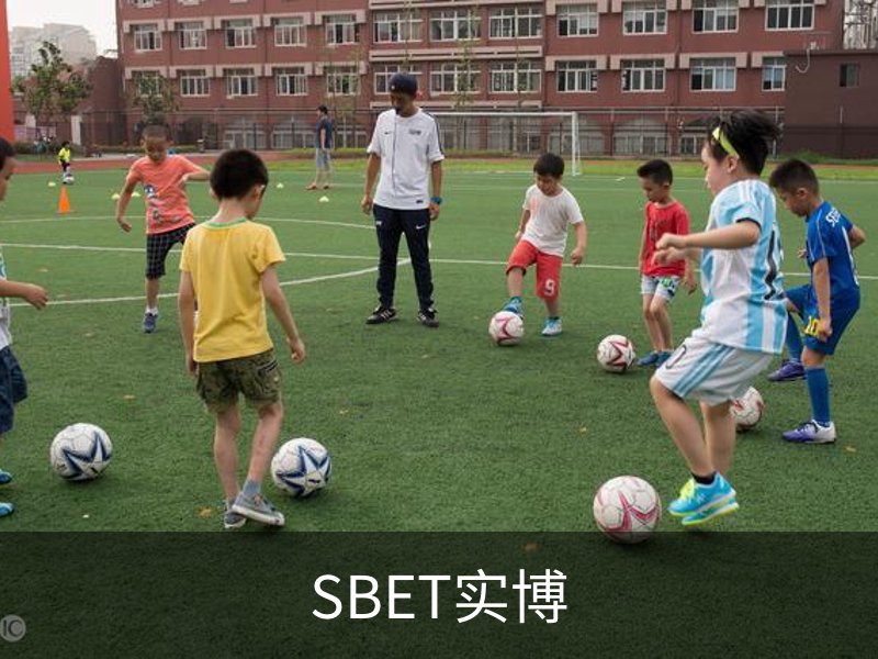 关于SBET实博
